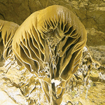gouffre de proumeyssac meduse